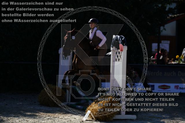 s_K3F03229.JPG